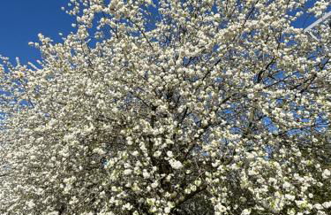 Paris 17ème - STUDIO compact 10m2 -110 sqf - coeur BATIGNOLLES - ideal SOLO traveler - Foto 65