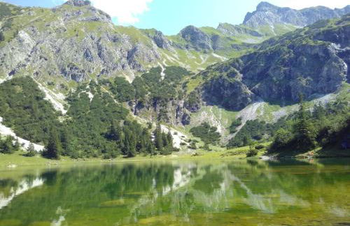 Ferienwohnung Wild - Foto 18