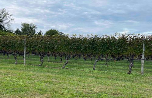 Modern Farmhouse Retreat North Fork Wine Country - Foto 70