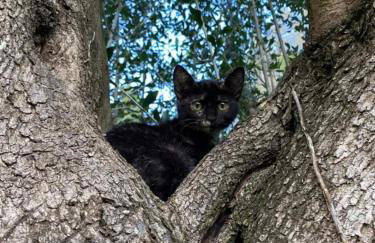 Villa Cottage Eleni - Foto 42