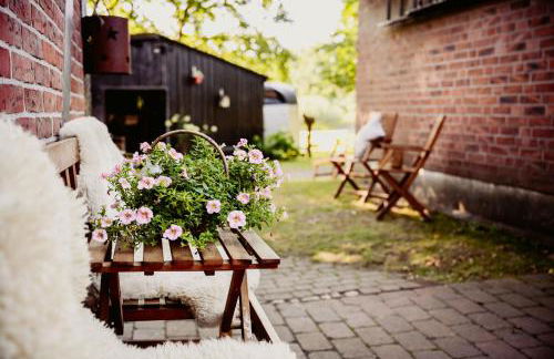 Carpe Deimern in der Lüneburger Heide - Foto 52