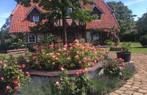 Hof Rabenstein Ostsee bei Kühlungsborn - Foto 36