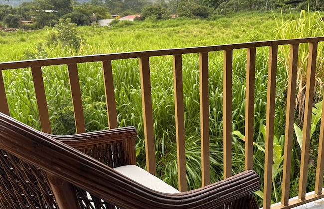 La Fortuna - Foto 40