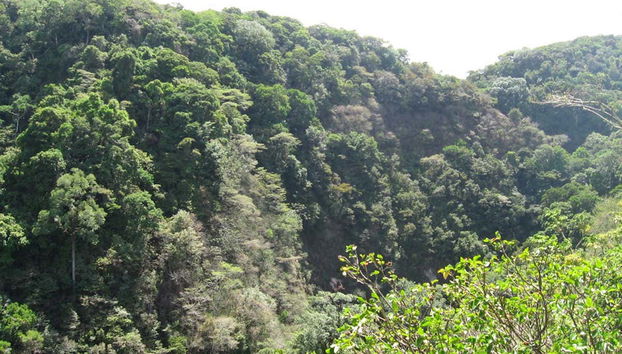 Wool Workshop & Valle Escondido Tour - Foto 2