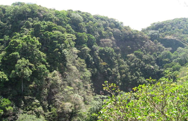 Wool Workshop & Valle Escondido Tour - Foto 2