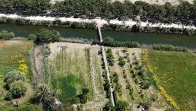 Orosei RE - Villa Aurora Rimedia a 50 metri dal mare - Foto 4