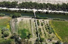 Orosei RE - Villa Aurora Rimedia a 50 metri dal mare - Foto 4