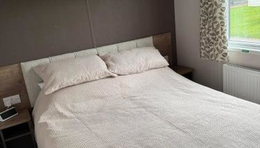 Paws A While - Foto 3