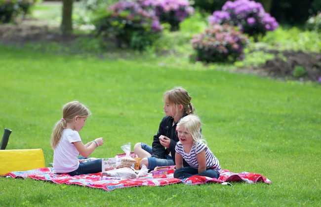 Bungalow With a Terrace at Bedafse Bergen - Photo 14