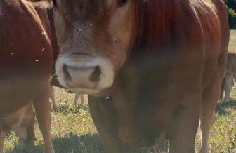 Ferienhaus Dreier-Ley - Foto 16