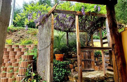 Quinta do Cabril - Foto 13