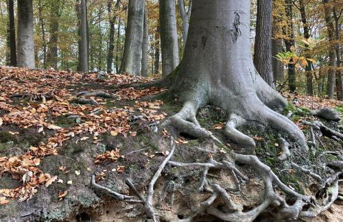 Holiday Home Exklusives Ferienhaus mit Terrasse und Garten by Interhome - Foto 43