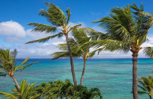 Hale Ono Loa 406 - Foto 30