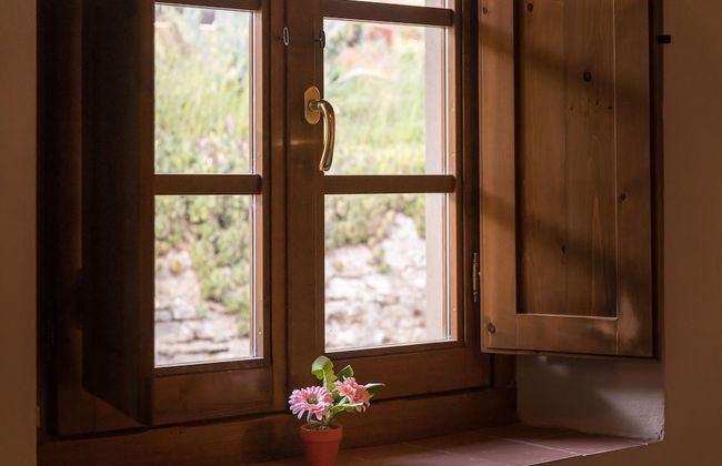 Fattoria di Cintoia - Photo 40