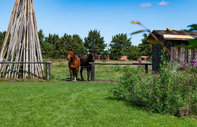 Anchorage Darss Modern Retreat - Foto 35