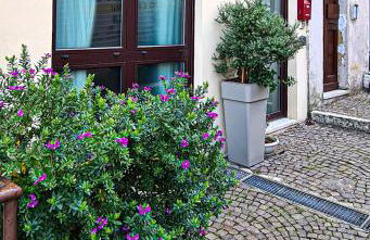 La Cialdina - Foto 38