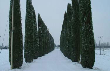 Agriturismo BB Mambrotta - Foto 63