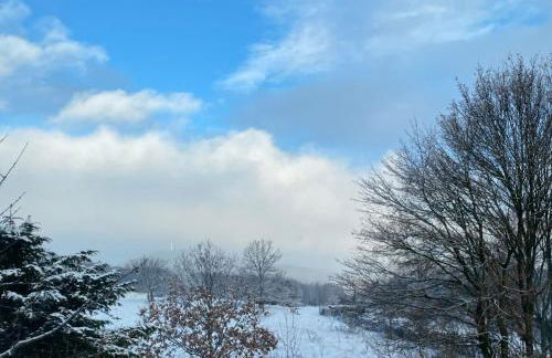 GP Ferienwohnung - Photo 14