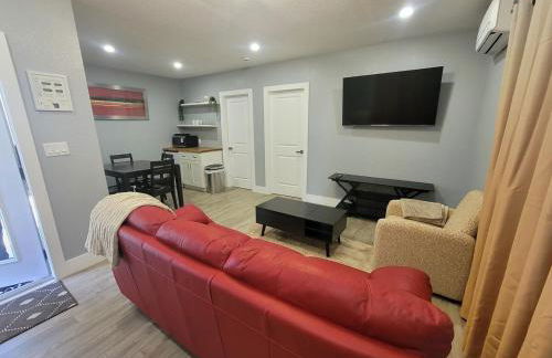 Jungle in the City! - Foto 22