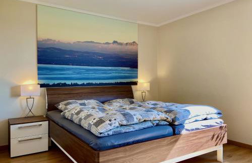 Ferienwohnung Weinberg-Idyll - Traumhafter Blick über Weinberge auf den Bodensee - Foto 15