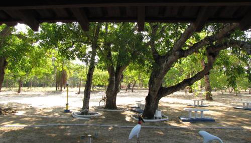 Hotel Fazenda Arara Azul - Foto 4