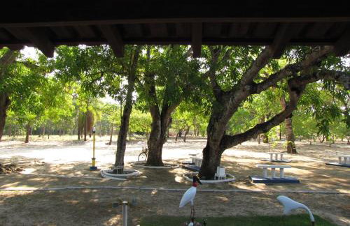 Hotel Fazenda Arara Azul - Foto 4