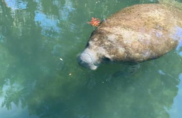 Natures Nest Waterfront - Photo 36