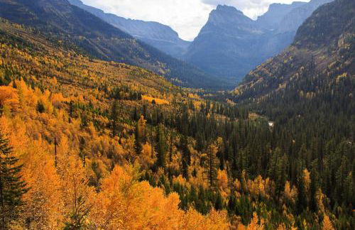 Saddle Ridge Townhome I-5 - Foto 41