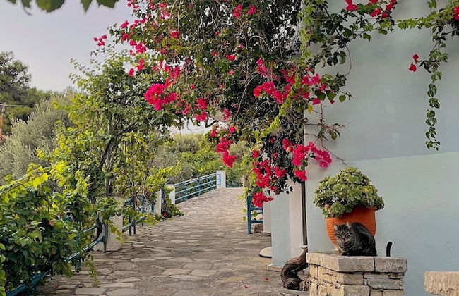 Pantheon Apartments & Studios - Foto 74