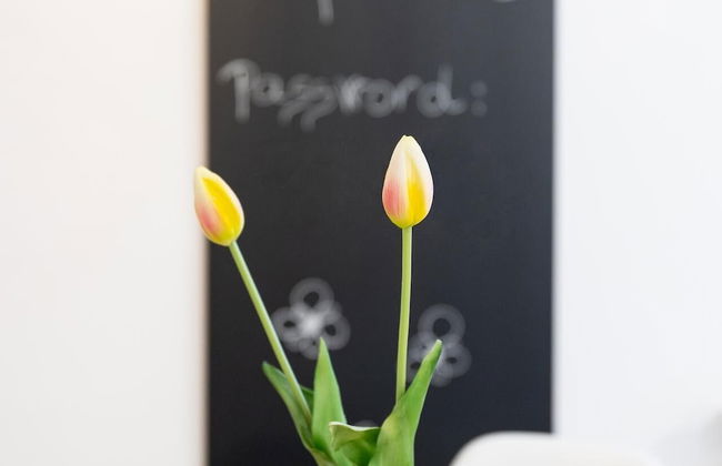 Castle way Apartments Tamy - Foto 39