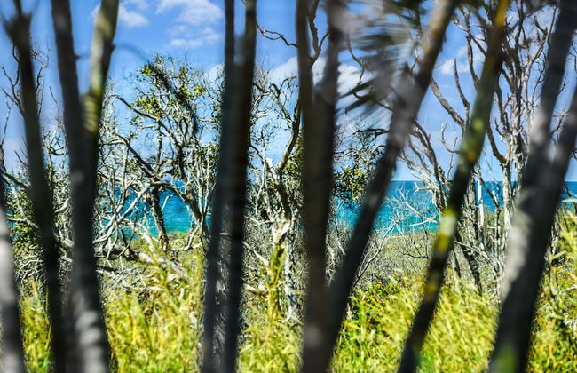 Nobs -1/44 Peregian Esplanade - Foto 10