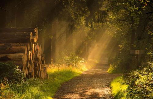 Holiday Home in Willingen-neerdar - Foto 37