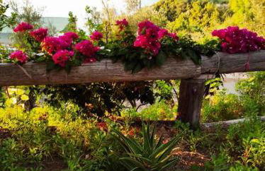 Dialiskari #3 - Foto 1