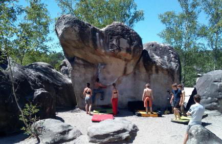 Logement sur jardin à Fontainebleau - Foto 24