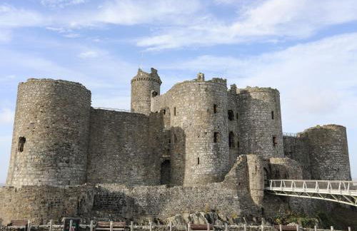 Harlech Apartments - Efnisien - Foto 18