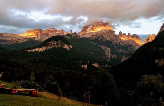 Agriturismo Chalet Fogajard - Photo 43