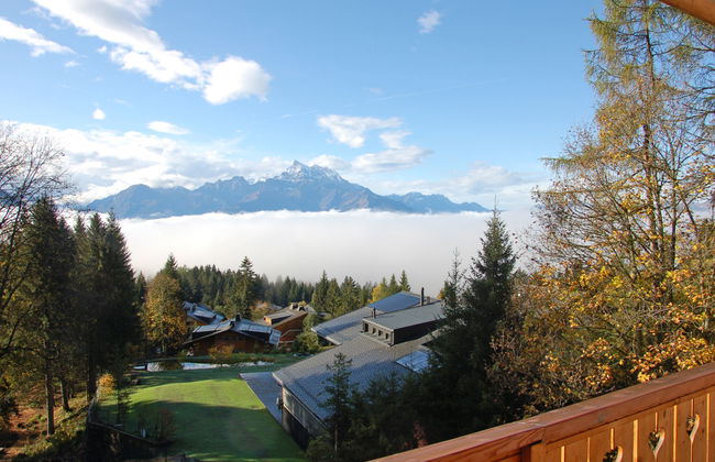 Mandarin 7 - Foto 11