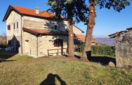 Gnazzano Home 2 - Foto 2