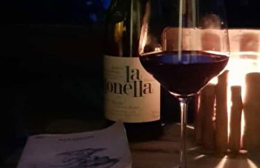 Il Ciliegio Selvatico - Foto 41