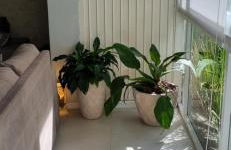 Gramado Garden Centro - Photo 21