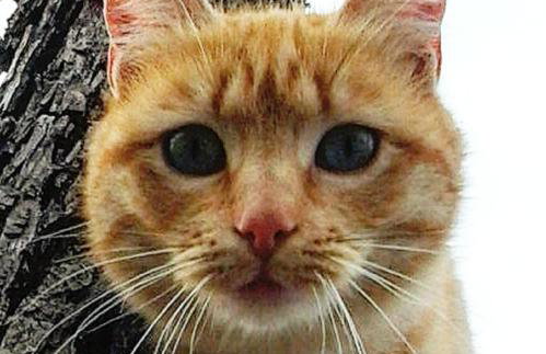 Podere La Vigna Locazione Turistica - Photo 35