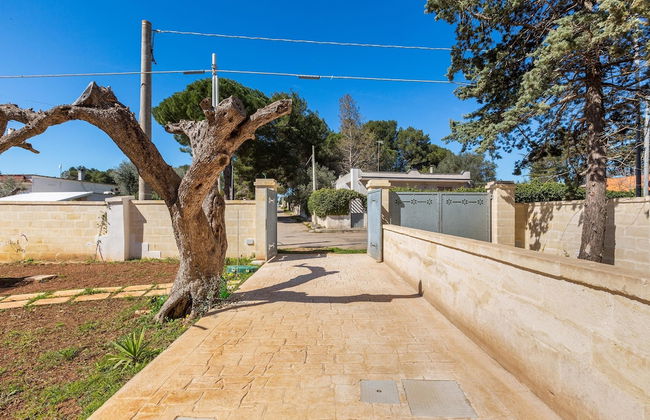 3233 Villa Lucechiara by Barbarhouse - Foto 22