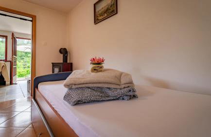 Planinski Raj House with 2 Apartments for 10 Guests - Foto 35