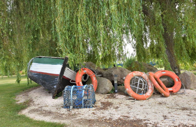 La Roseraie - Photo 32