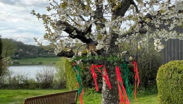 Ferienwohnungen Hof Krebs - Foto 2