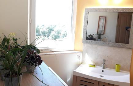 Mas du Figuier Oppede Luberon - Foto 11