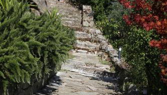 Casa Giacometti - Foto 2, Garden