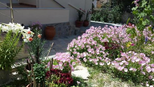 Akti Zaga Apartments - Foto 4, Garden