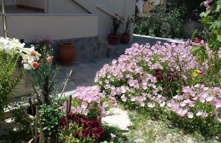 Akti Zaga Apartments - Photo 4