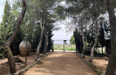 Finca Los Molinos - Foto 4